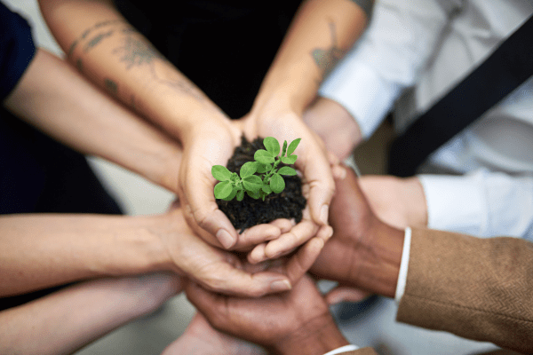 Collaboration autour d'un projet environnemental et social